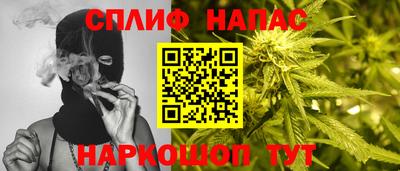 сатива Севастополь