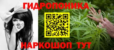 сатива Севастополь