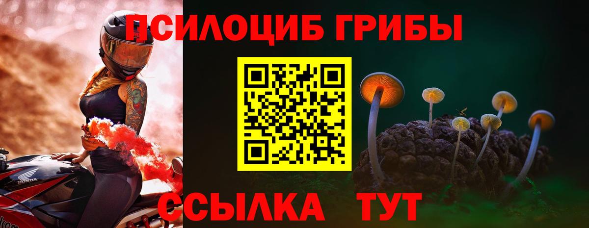 Галлюциногенные грибы мицелий  Галлюциногенные грибы мицелий  Новосибирск  Вход с VPN 